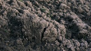 resíduos biodegradáveis
